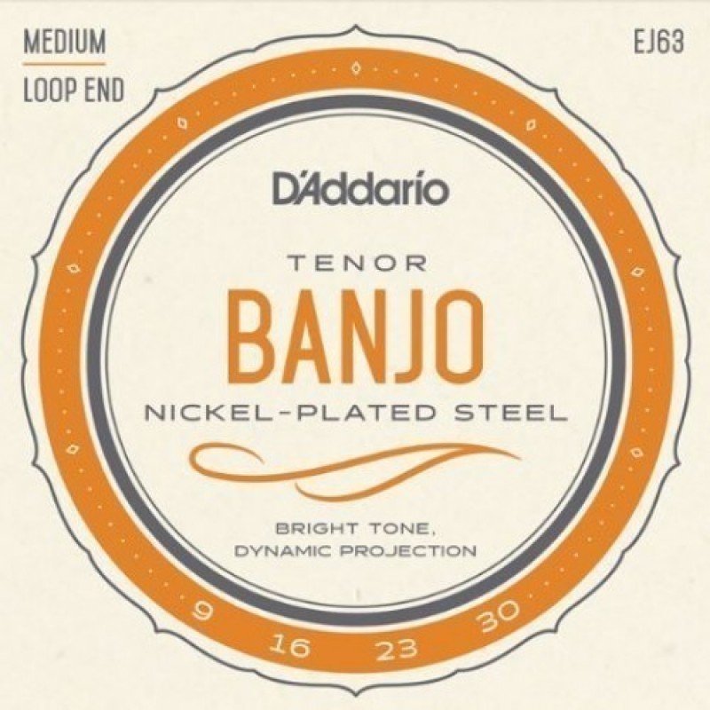 D'Addario EJ63 Banjo string set,Tenor