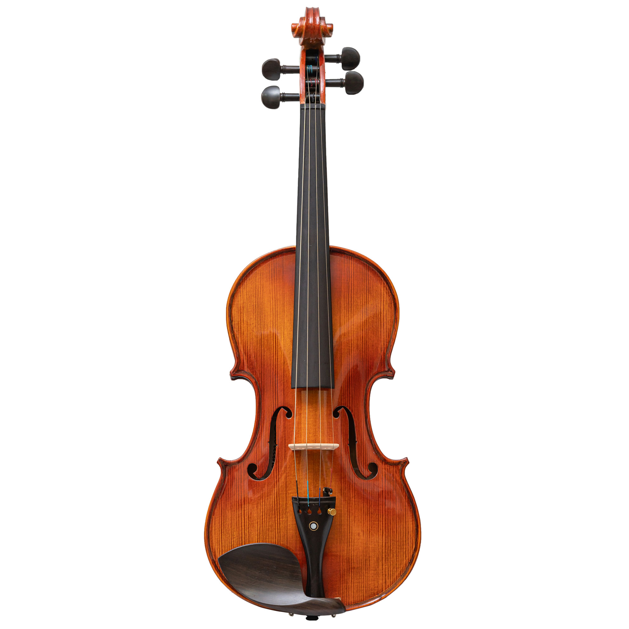 Cavatina C800 Conservatoire Etude Opulent Violin Outfit