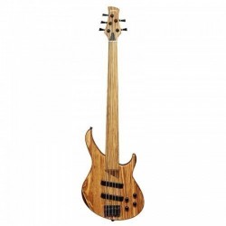 Haineswood H2200NL Electric 5 String Fretless Bass Guitar