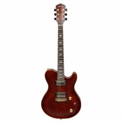 Haineswood HGM-F Electric Guitar Artist Series
