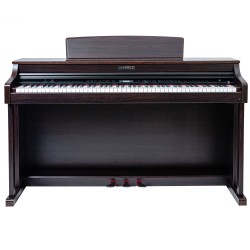Dench D120-SR Professional Digital Piano (Rosewood)